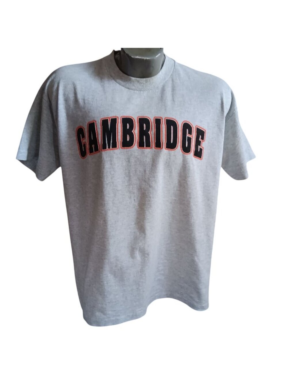 Large Single Stitch Vintage Mens T-shirt Gray 1990's Cambridge Nebraska FTL USA